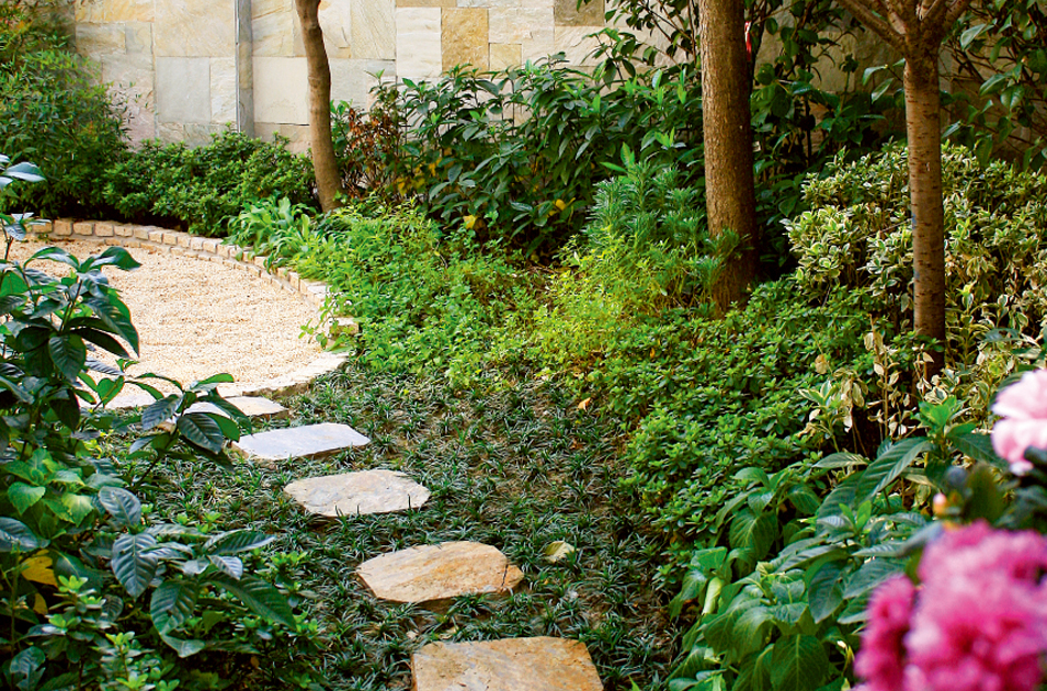 香榭丽舍 (1).jpg